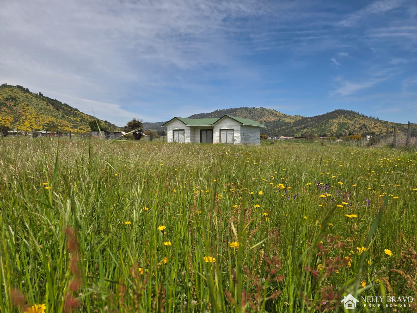 Se vende Parcela con casa en Pumanque