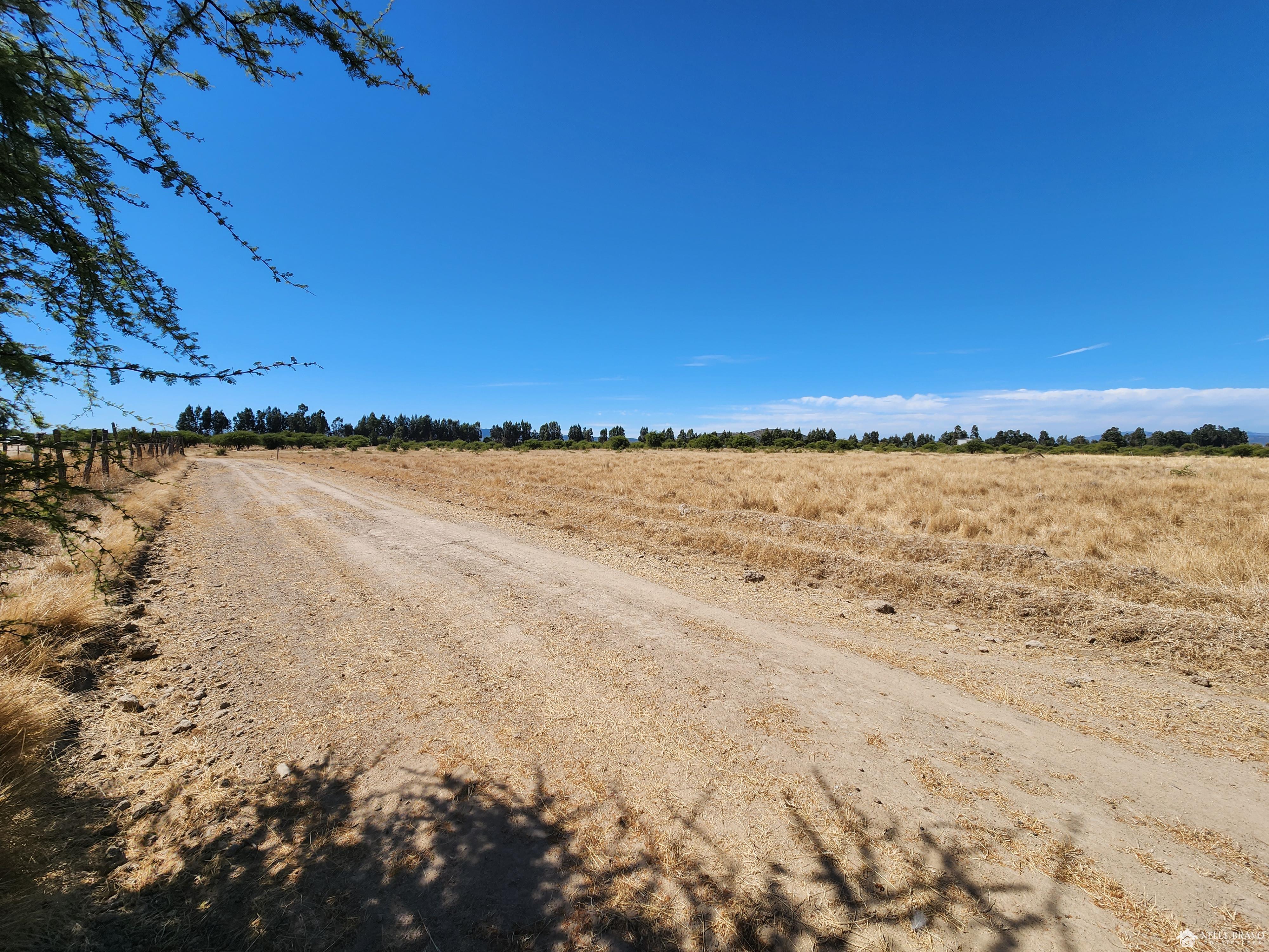 Se venden Parcelas sector Nilahue Cornejo, Pumanque