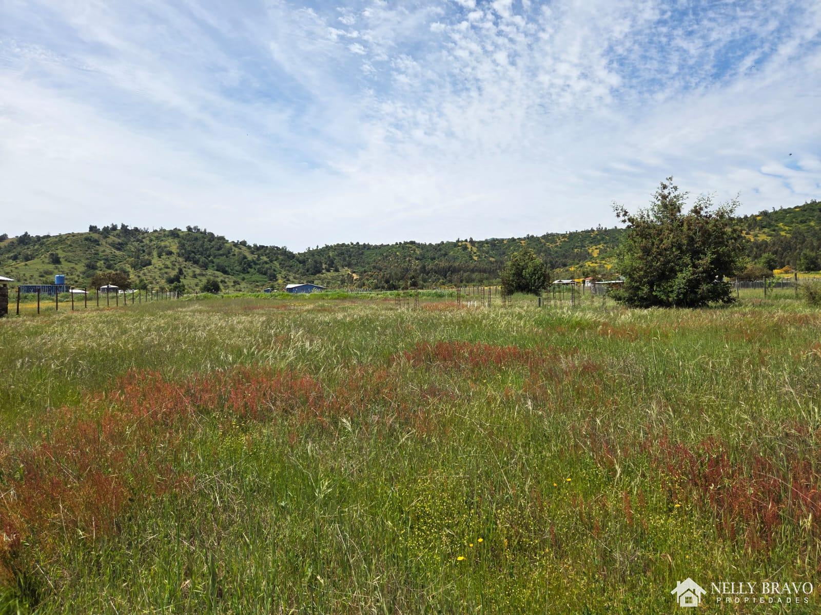 Se vende Parcela en Pumanque