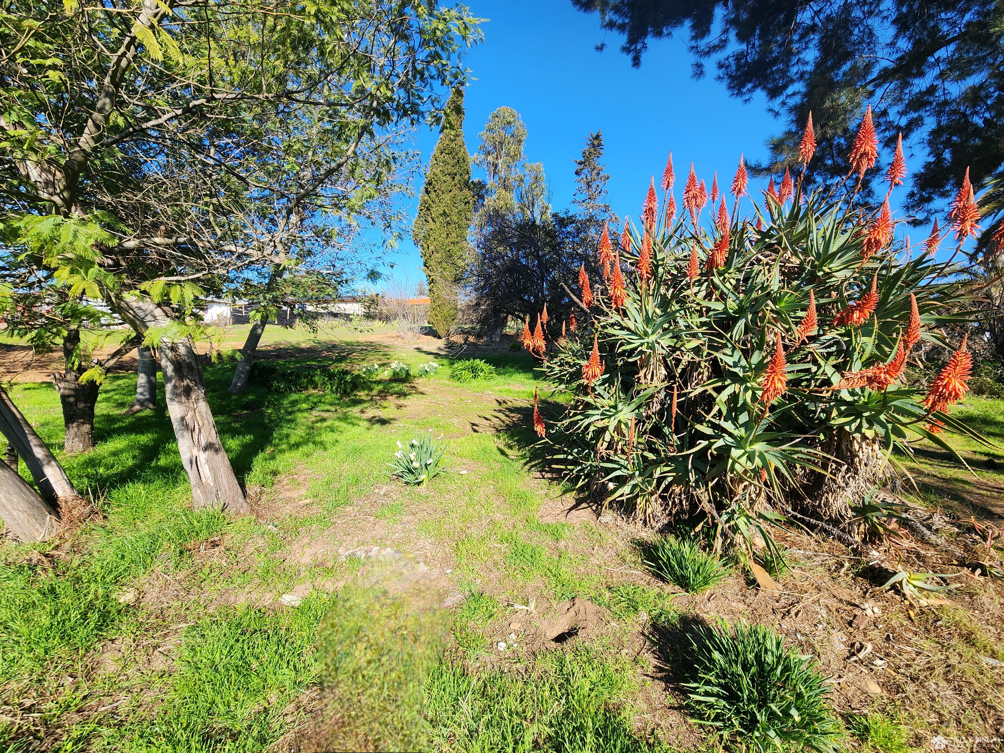 Se vende Terreno urbano en Litueche
