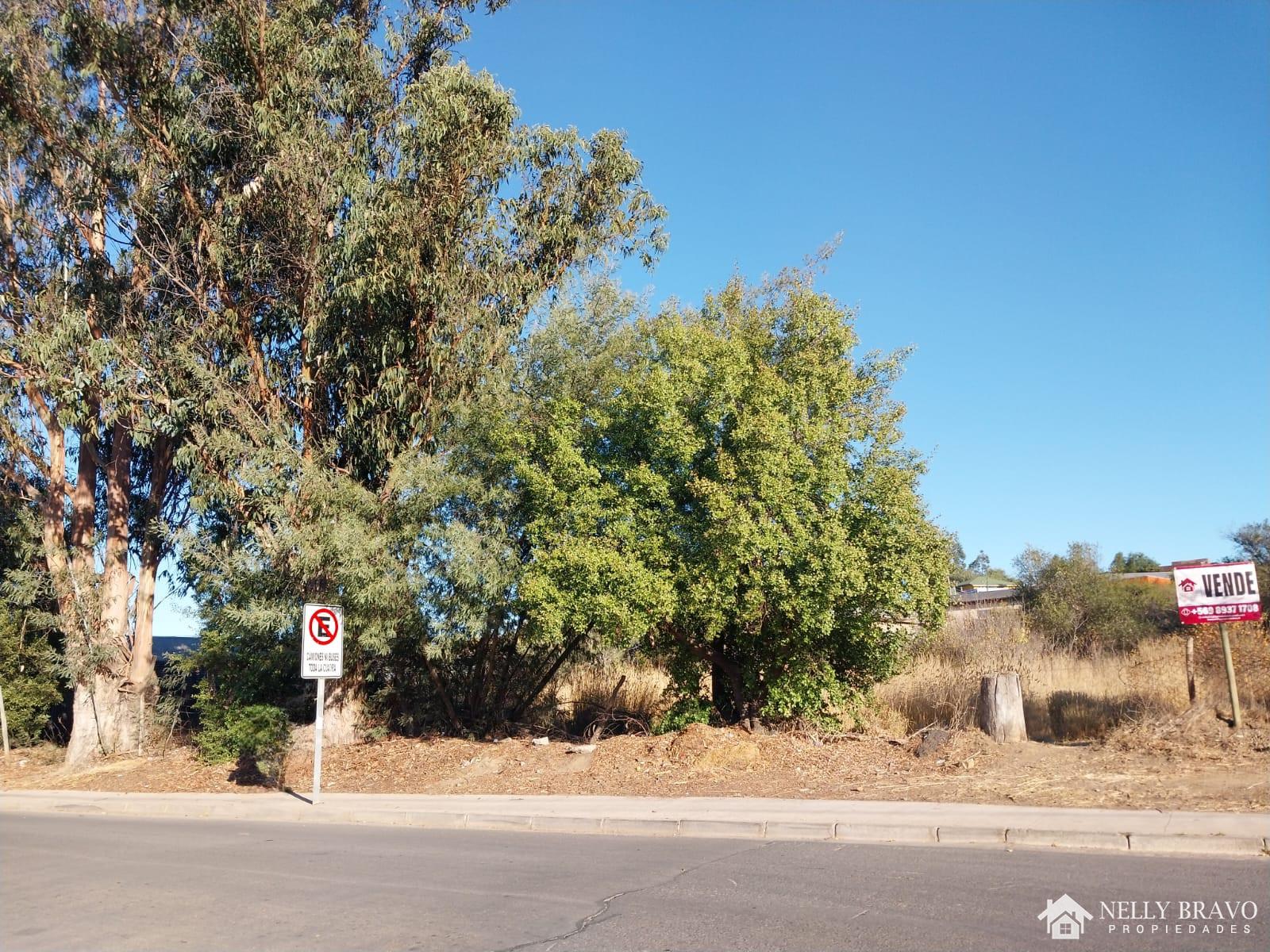 Se vende Terreno urbano en Litueche