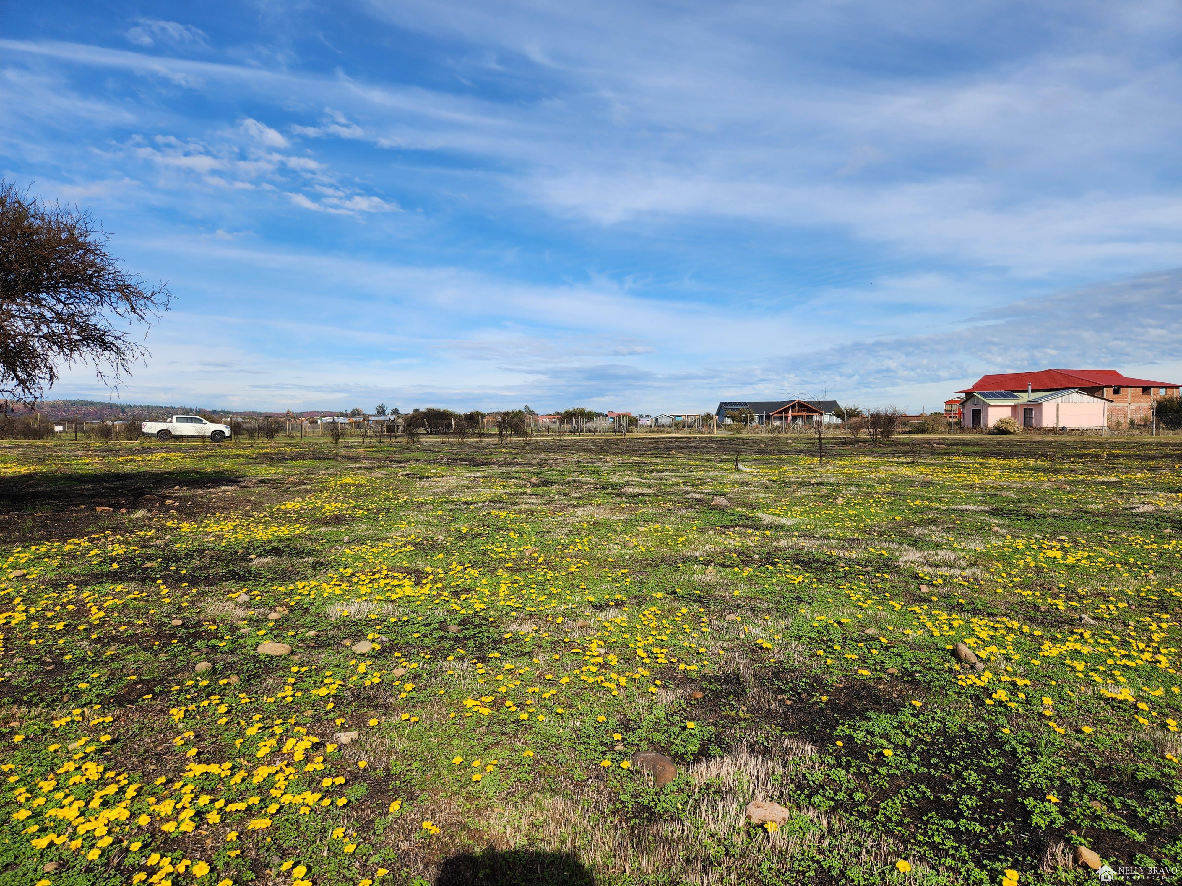 Se vende Terreno de 5.000 m2 sector Las Damas, comuna de la Estrella
