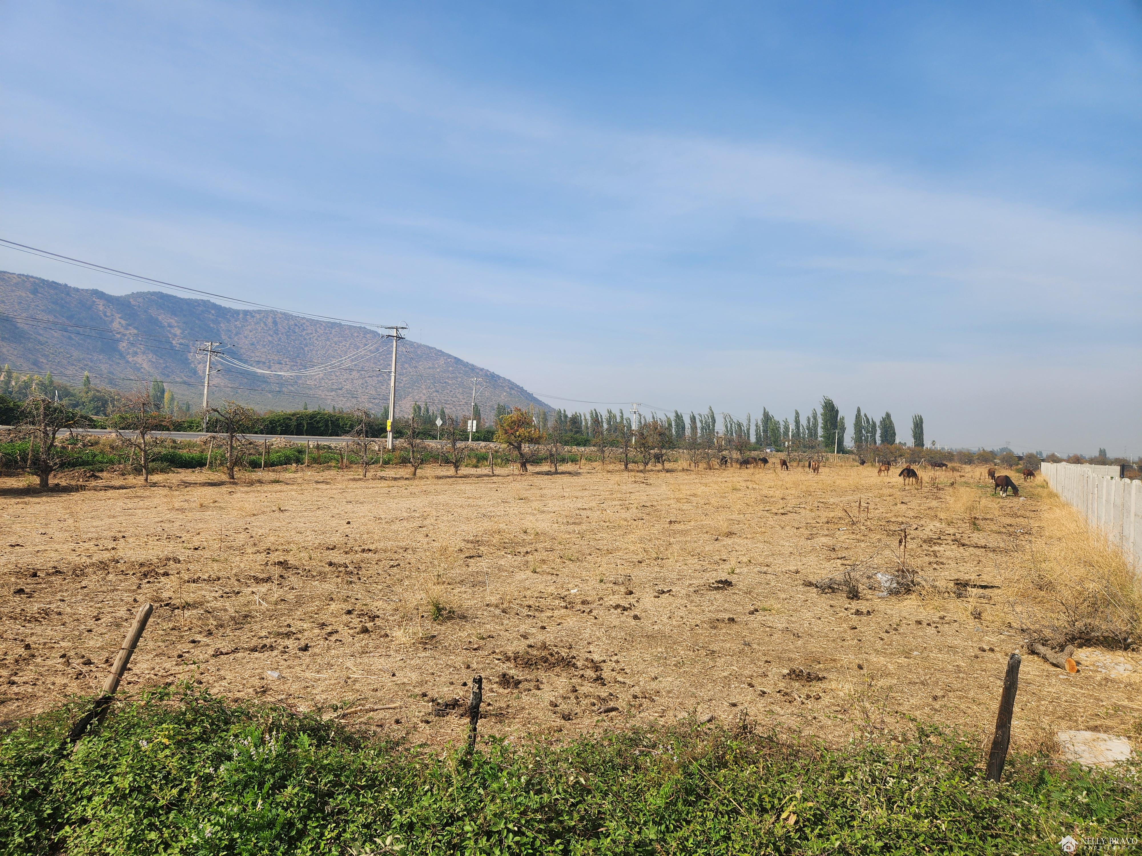 Se vende Parcela camino a Chancon, Rancagua